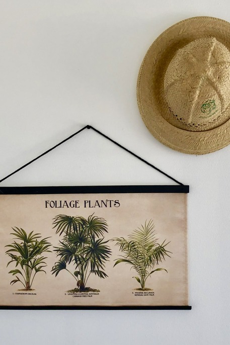 Caribbean Court 437 - Decoratie